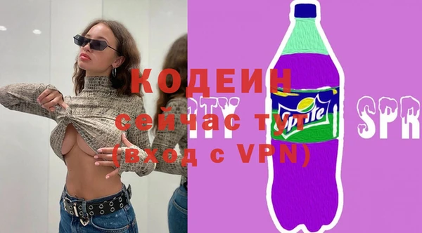 таблы Бородино