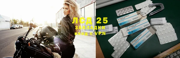 таблы Бородино