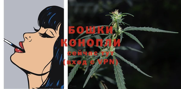 таблы Бородино