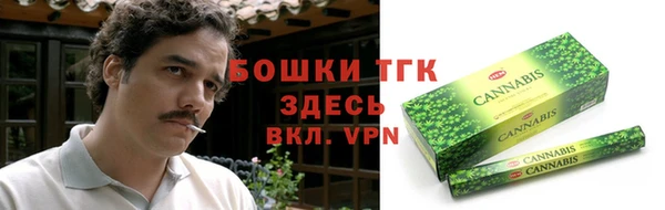 таблы Бородино