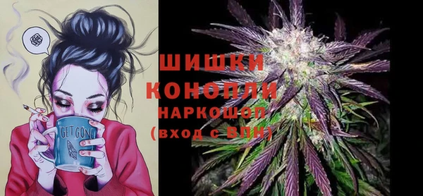 таблы Бородино