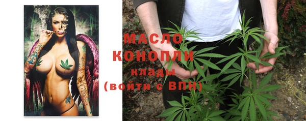 таблы Бородино